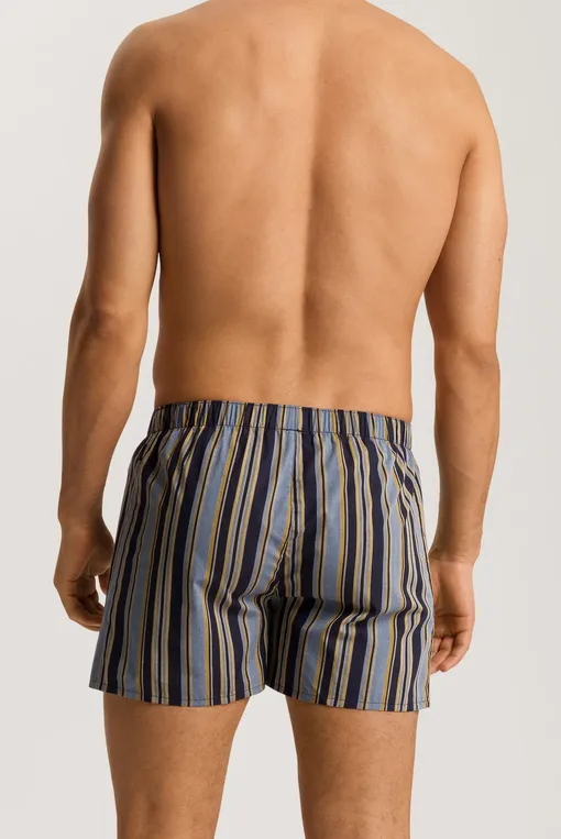 Трусы Hanro 074013 2886