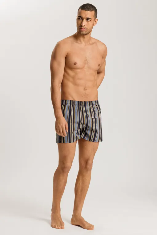 Трусы Hanro 074013 2886