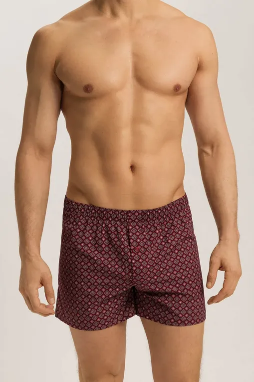 Трусы Hanro 074013 3036
