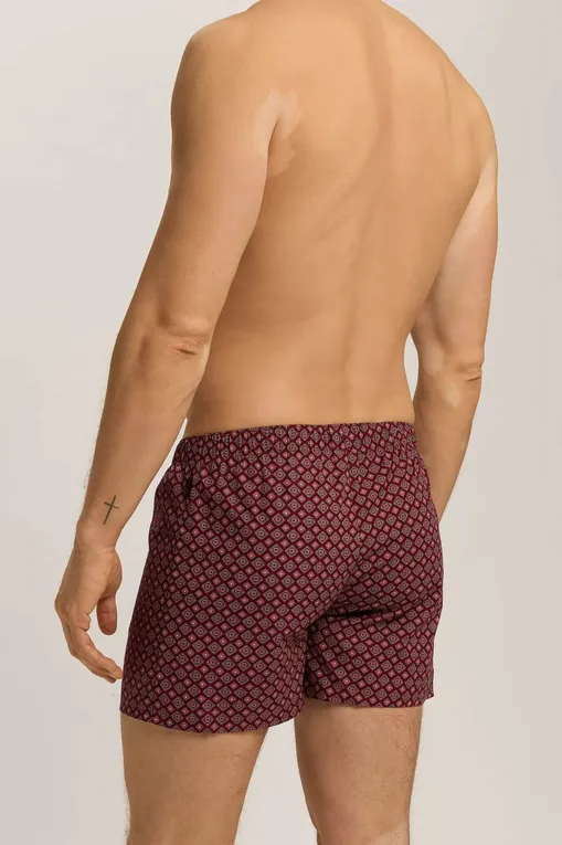 Трусы Hanro 074013 3036