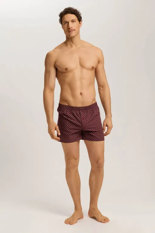 Трусы Hanro 074013 3036