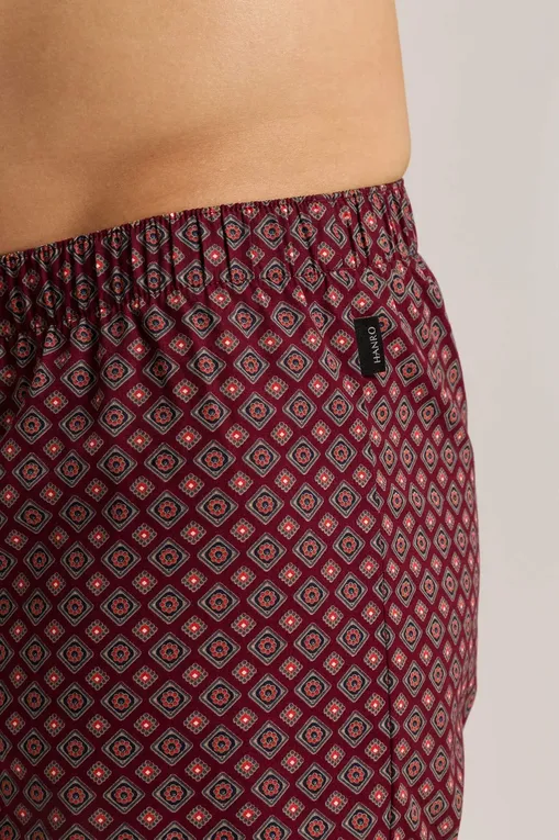 Трусы Hanro 074013 3036