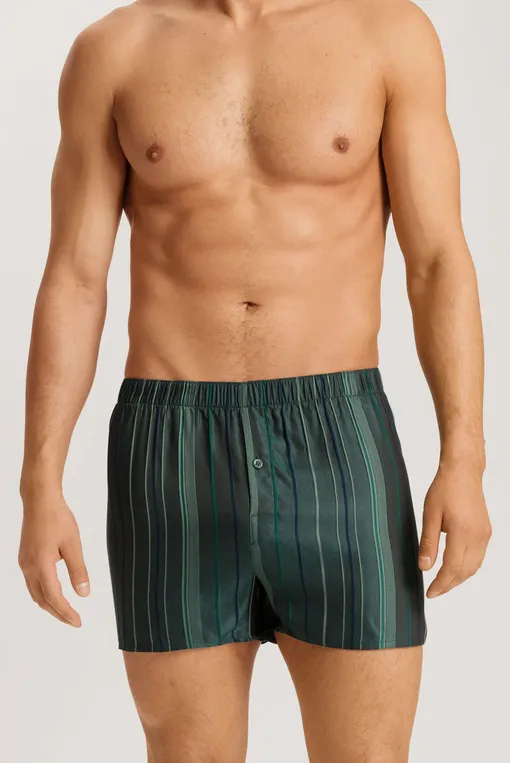 Трусы Hanro 075877 2864