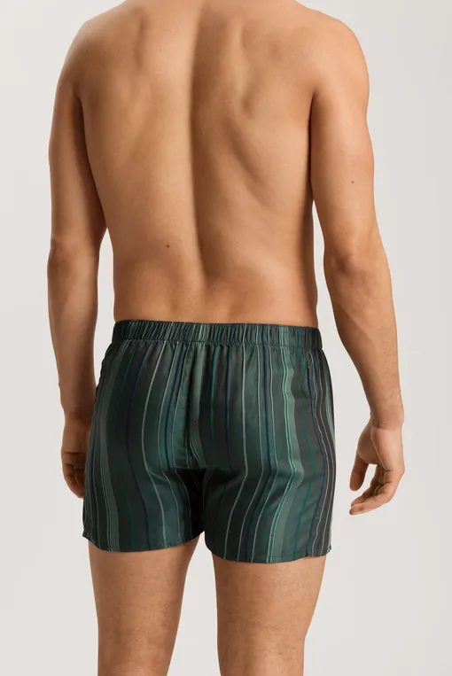 Трусы Hanro 075877 2864