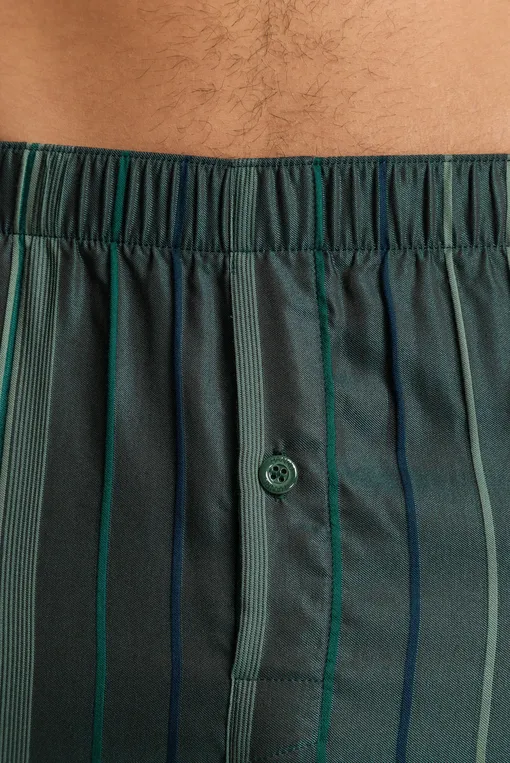 Трусы Hanro 075877 2864