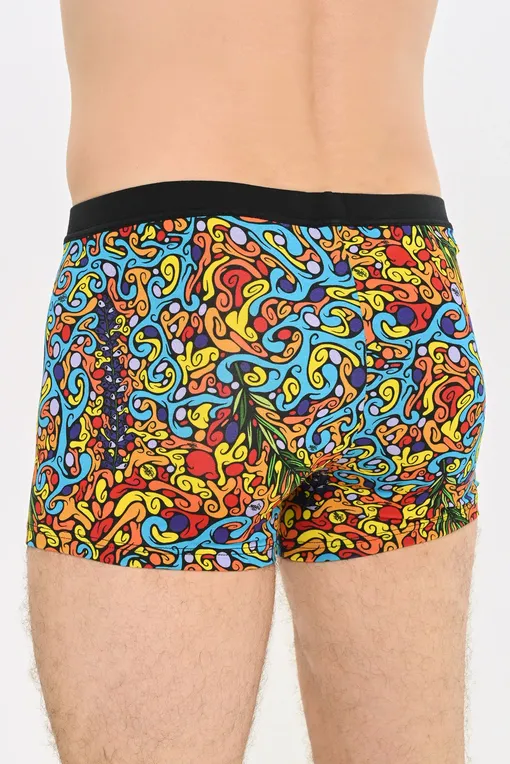 Трусы Hom 402668 p023 multico print