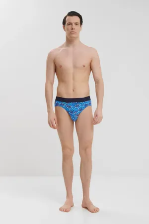 Hom 402969 i0bi blue print