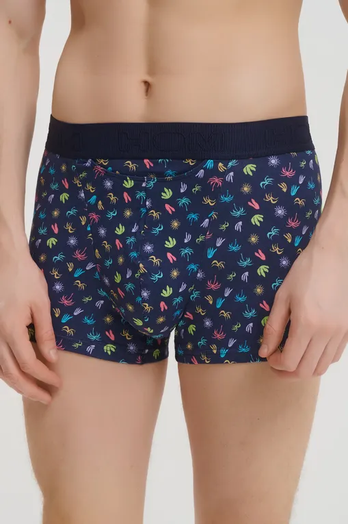 Трусы Hom 402970 i023 multico print