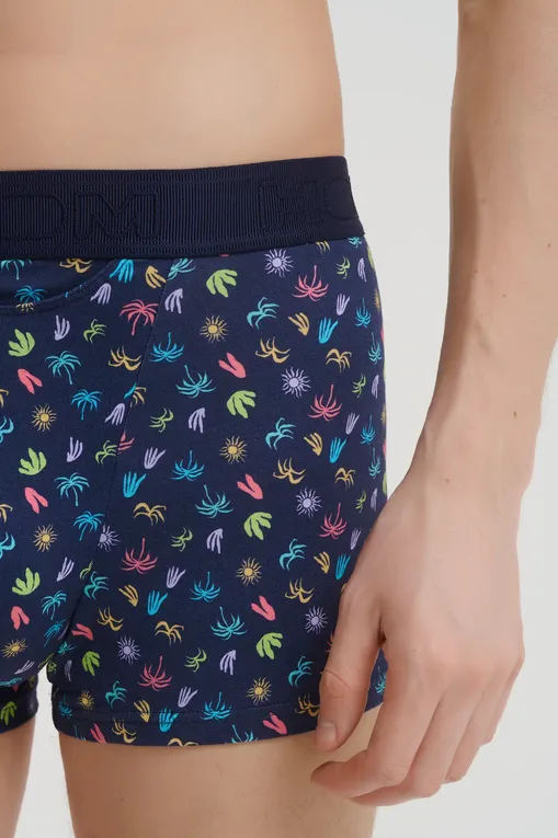 Трусы Hom 402970 i023 multico print