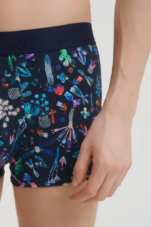 Трусы Hom 402972 i023 multico print