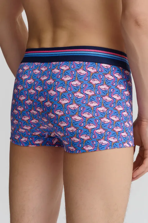 Трусы Jockey 17302913 420