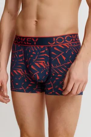 Jockey 1911241 378