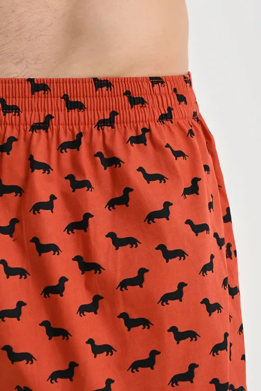 Трусы Jockey 315500 353