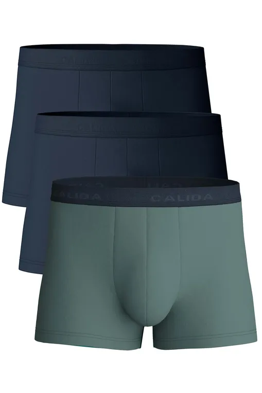 Трусы Calida 26341 549 dark glen