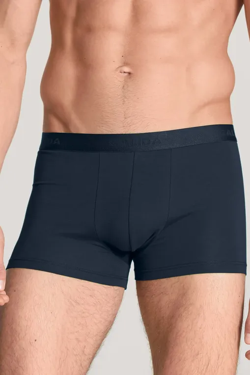 Трусы Calida 26341 549 dark glen