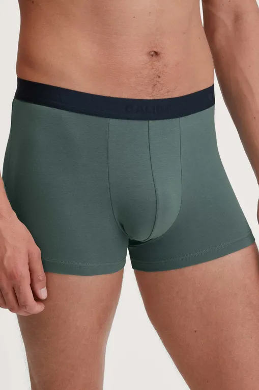 Трусы Calida 26341 549 dark glen