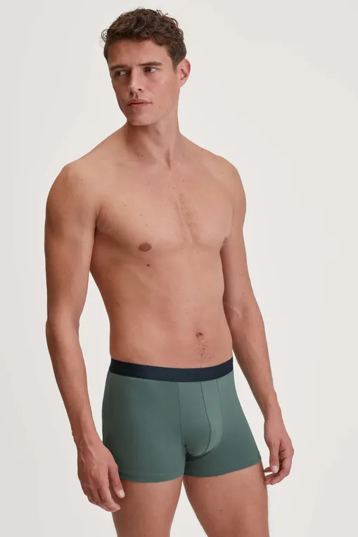 Трусы Calida 26341 549 dark glen