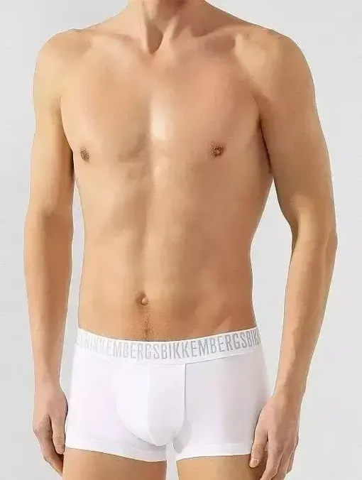 Боксеры Bikkembergs L1C1308 1100