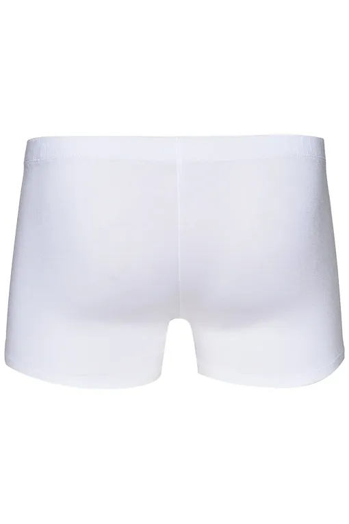 Боксеры Olaf Benz 101024 1000