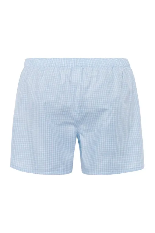 Трусы Hanro 074013 2093