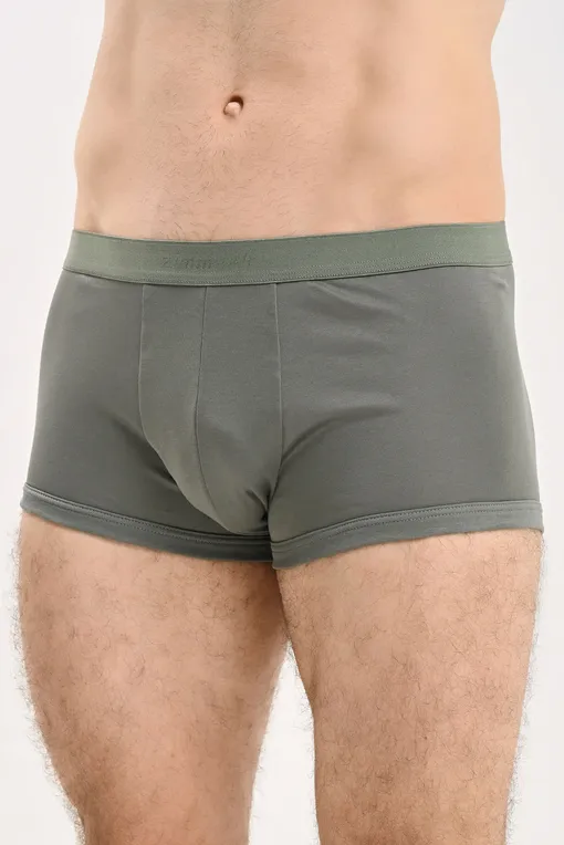 Трусы Zimmerli 2861445 073 dark sage
