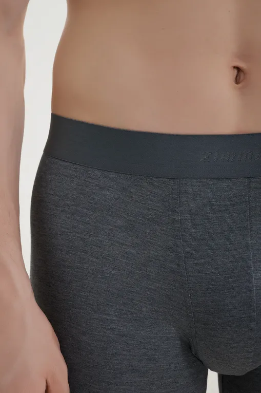 Трусы Zimmerli 7001343 51