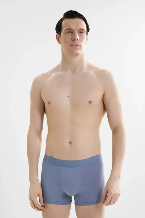 Трусы Zimmerli 7001343 546