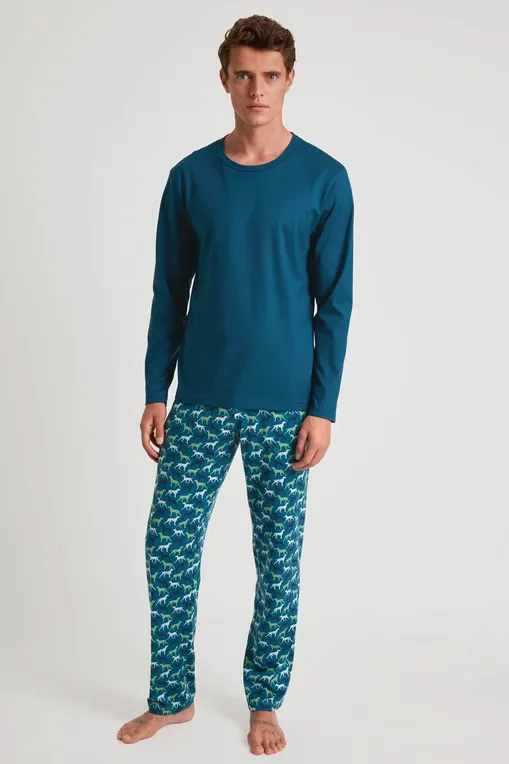 Брюки Calida 29586 623 stone green