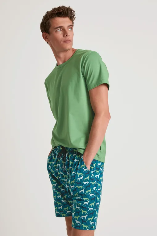 Шорты Calida 27586 623 stone green