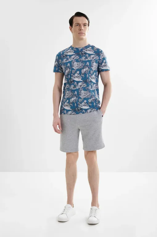 Шорты Derek Rose 3174-QUIN 001SIL