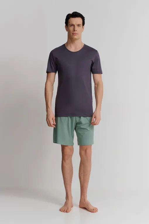 Шорты Derek Rose 3559-BASE 019gre