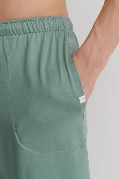 Шорты Derek Rose 3559-BASE 019gre