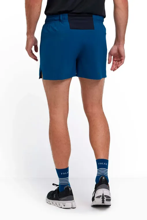 Шорты Falke Ess 38999 6598 blue pond