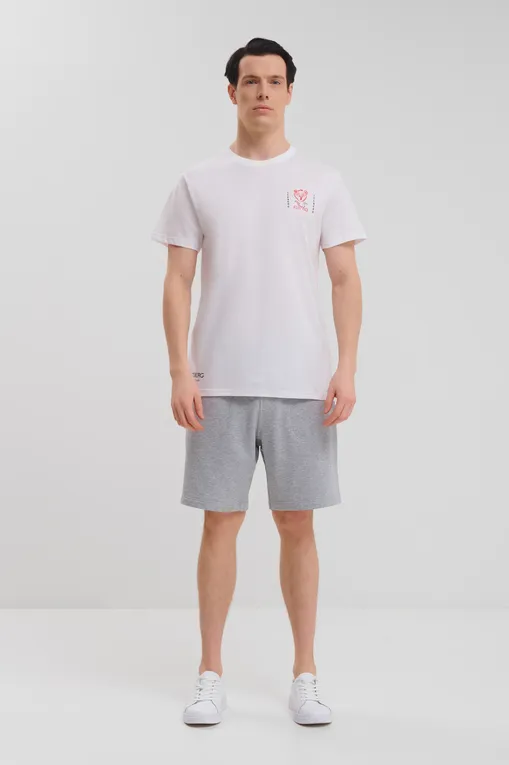 Шорты Zegna N6N101940 032