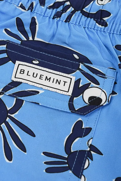 Мальчикам BLUEMINT ARTHUS BOY STRETCH 748 PROVENCE CRAB