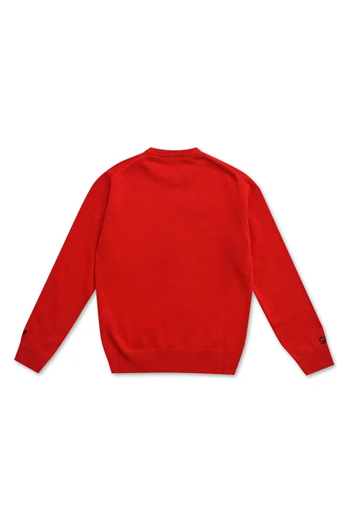 Мальчикам Mc2 Saint Barth DOUGLAS TEAM SANTA 41