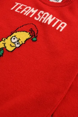 Mc2 Saint Barth DOUGLAS TEAM SANTA 41