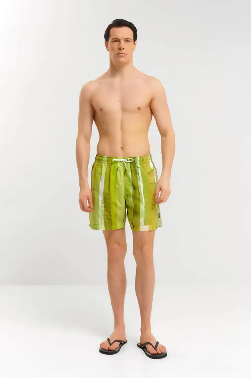 Плавки Ermenegildo Zegna N7B790990 734