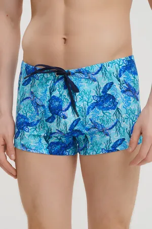 Hom 402915 p0bi blue print