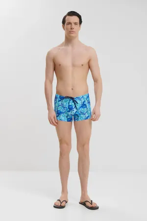 Hom 402915 p0bi blue print