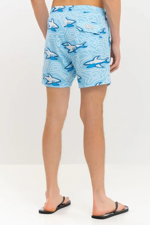 Пляжные шорты BLUEMINT ARTHUS STRETCH 1061 SKY SHARK MAZE