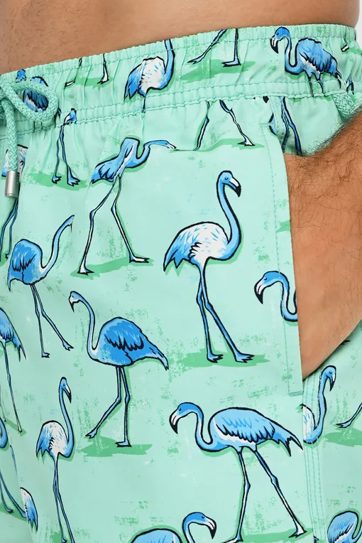 Пляжные шорты BLUEMINT ARTHUS 754 CASCADE FLAMINGO