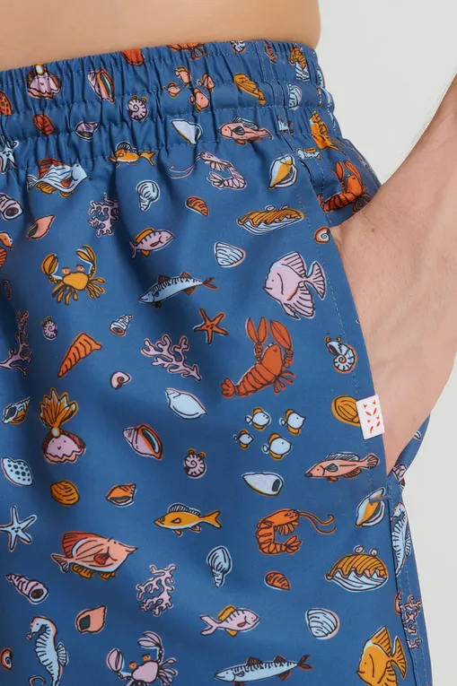 Пляжные шорты Derek Rose 9761-MAUI 069BLU