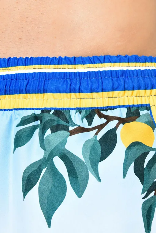 Пляжные шорты Derek Rose 9761-OAHU 002BLU