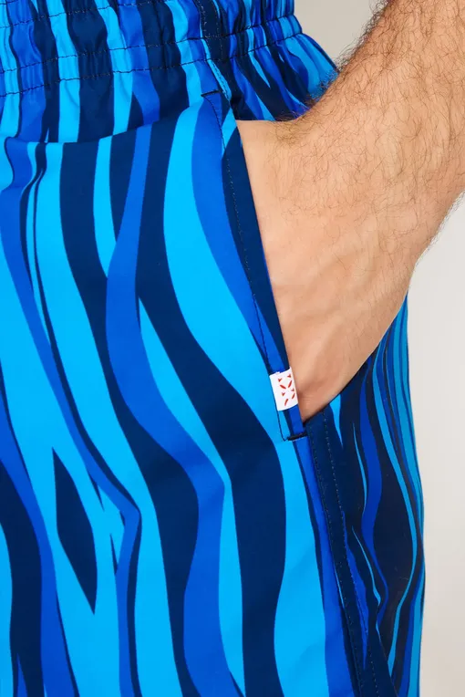 Плавки-шорты Derek Rose 9765-MAUI 035NAV