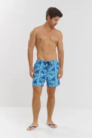 Hom 402916 p0bi blue print