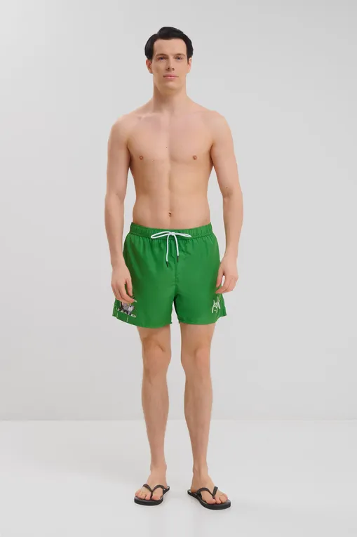 Плавки Iceberg ICE25MBS09 Green