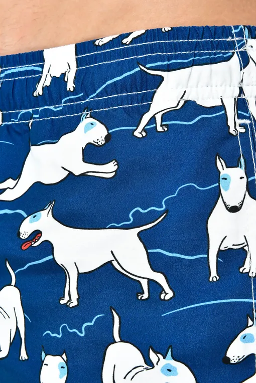 Плавки-шорты Mc2 Saint Barth GUSTAVIA BULLY 61