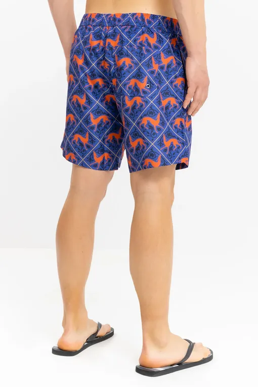 Плавки-шорты TRUSSARDI TRU2MBM12 Blue