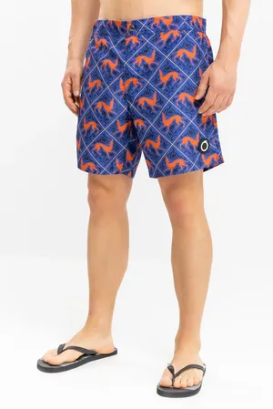 TRUSSARDI TRU2MBM12 Blue